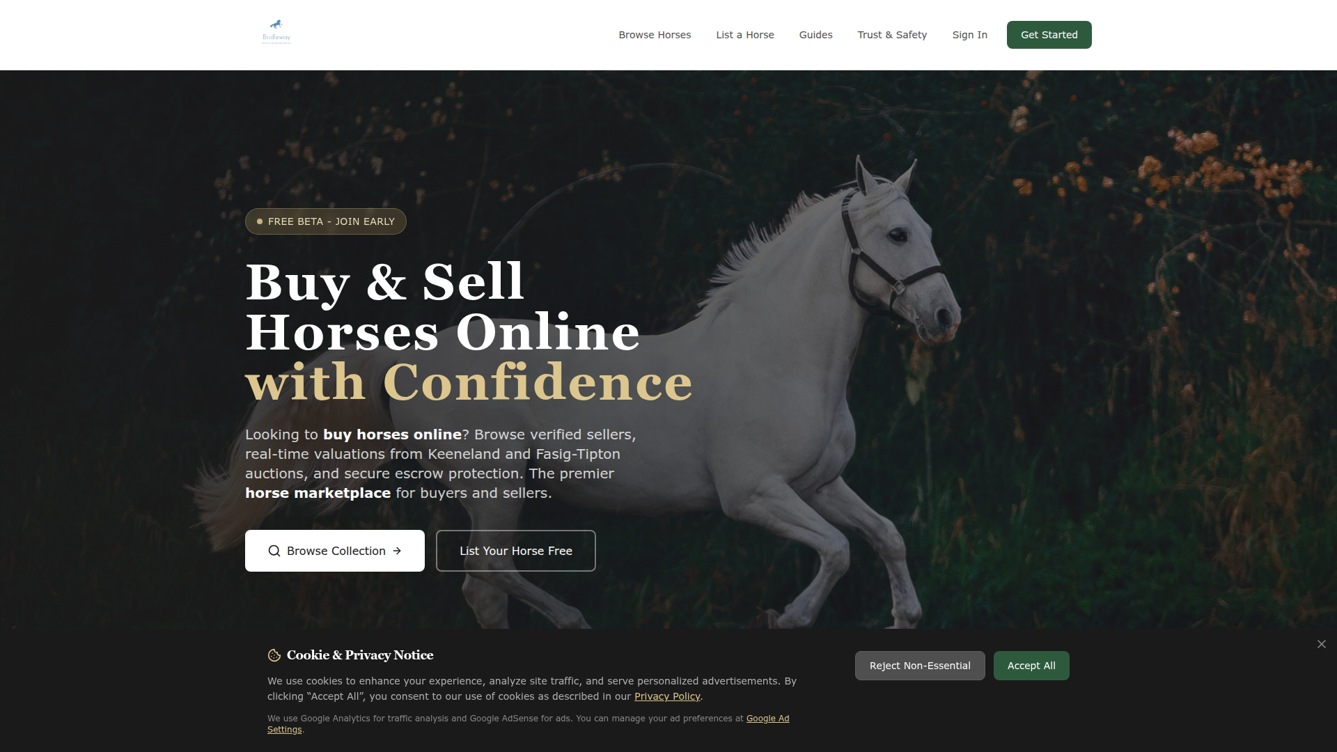 Bridleway website screenshot